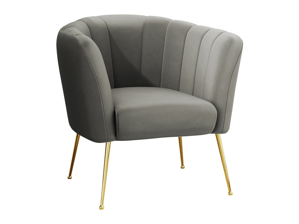 Fotel Giliali (Rimilo), Szín: Magic Velvet 2217