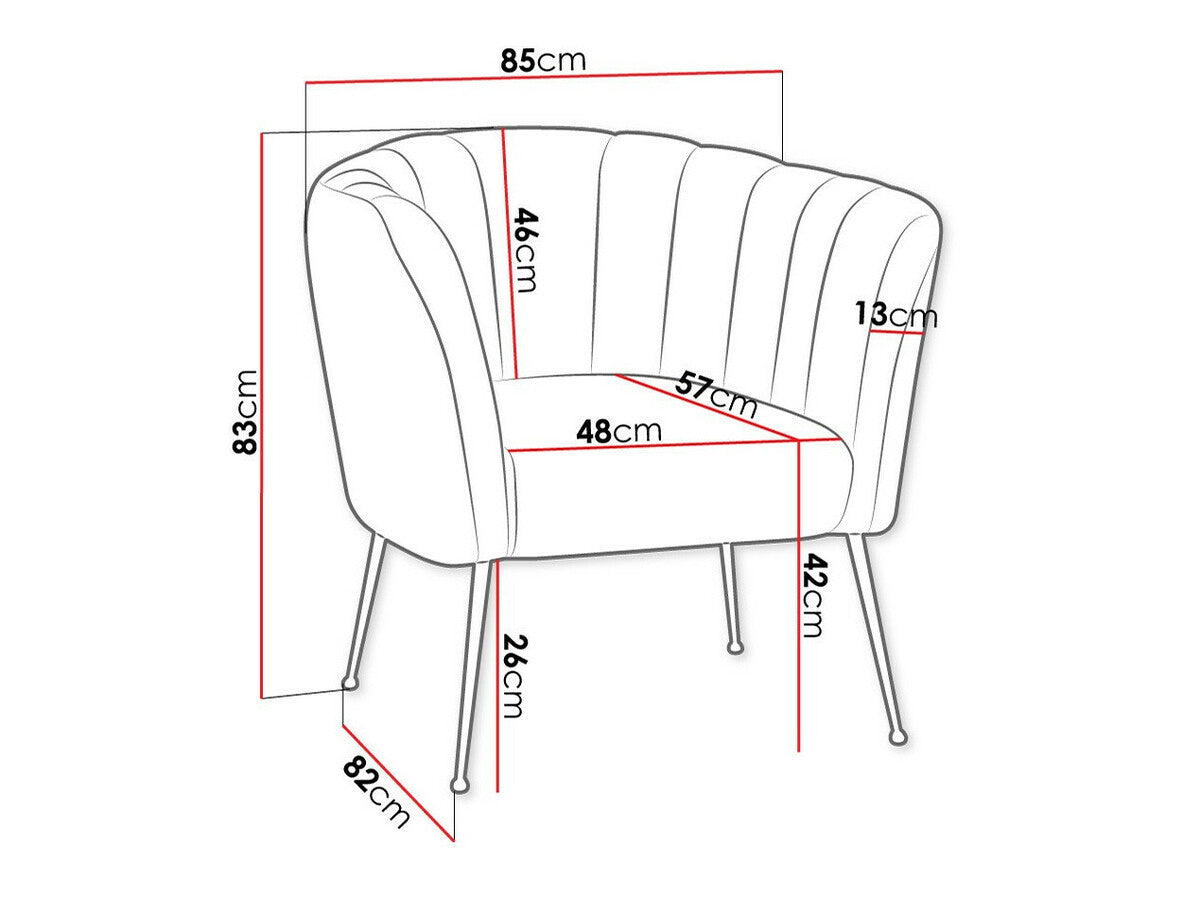 Fotel Giliali (Rimilo), Szín: Magic Velvet 2225