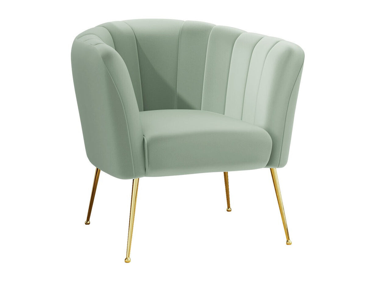 Fotel Giliali (Rimilo), Szín: Magic Velvet 2227