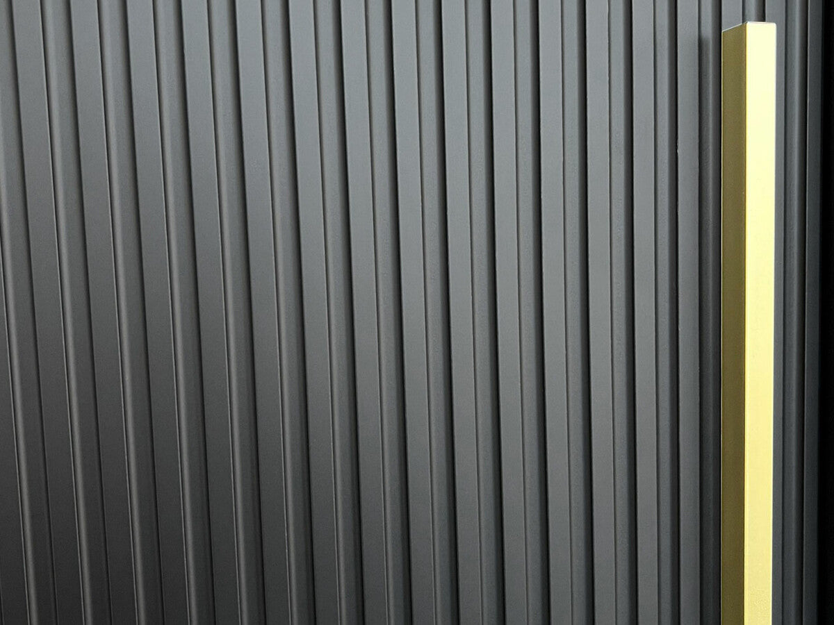 Gardróbszekrény Szafa RIFLO SLIM 2 120 (Towiro) Czarny 5903211254222 (Fekete)