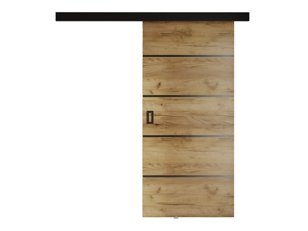 Tolóajtók Drzwi WERDI PLUS 100 + samodomykacz, Szín: Craft tölgy
