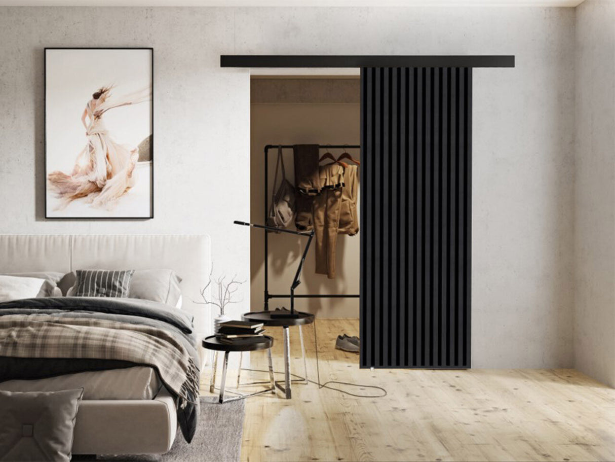 Tolóajtók Drzwi BELMO 70 + samodomykacz, Szín: Antracit + Fekete