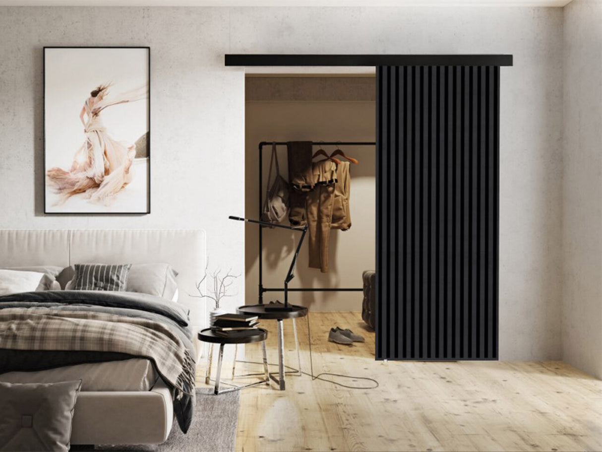 Tolóajtók Drzwi BELMO 80 + samodomykacz, Szín: Antracit + Fekete