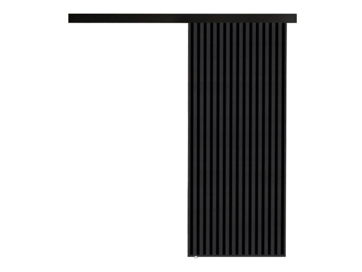 Tolóajtók Drzwi BELMO 80 + samodomykacz, Szín: Antracit + Fekete