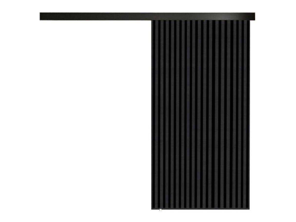 Tolóajtók Drzwi BELMO 100 + samodomykacz, Szín: Antracit + Fekete