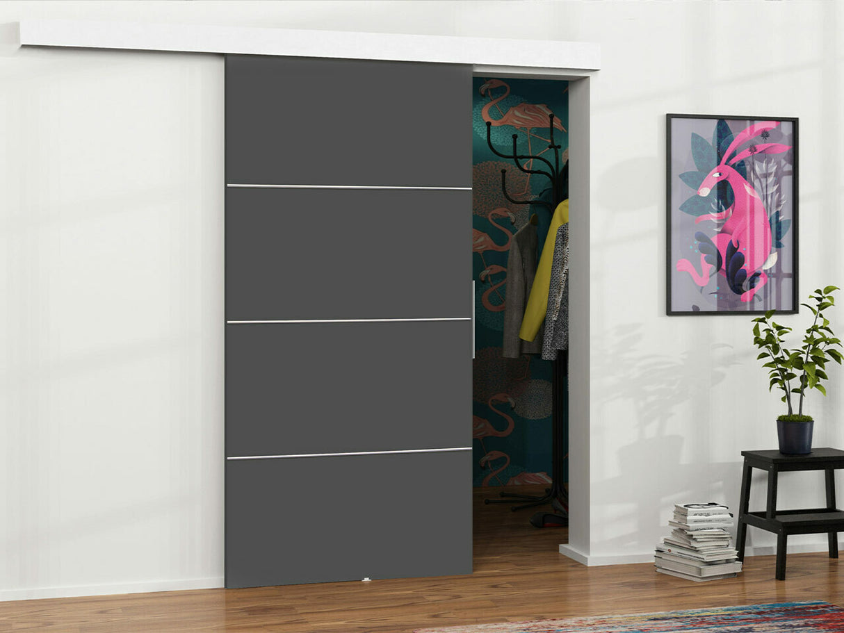 Tolóajtók Drzwi MALIBU PLUS 100 + samodomykacz, Szín: Antracit