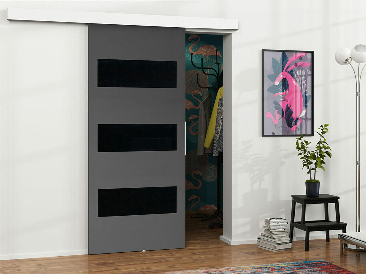 Tolóajtók Drzwi MALIBU WZORY M-2 100 + samodomykacz, Szín: Antracit + Fekete