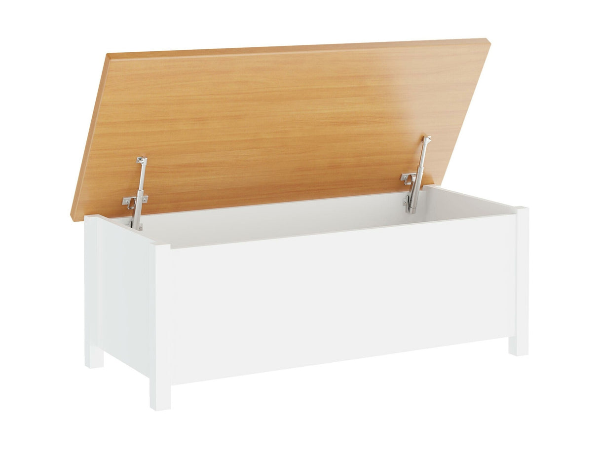 Tárolódoboz Story SR10