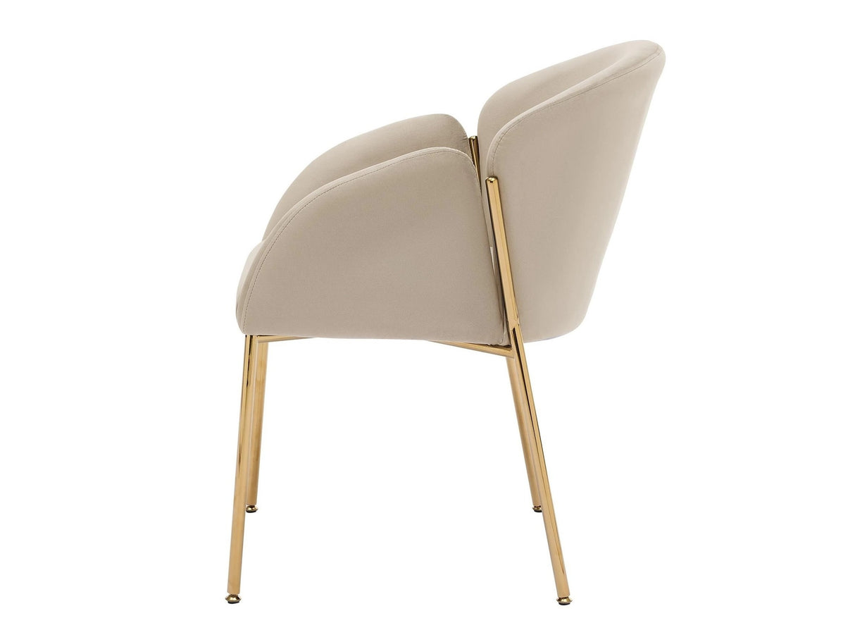 Szék készlet Krzesło MUZ/DC/1257/GL (2szt) Beż-98 (Bézs) 4215015