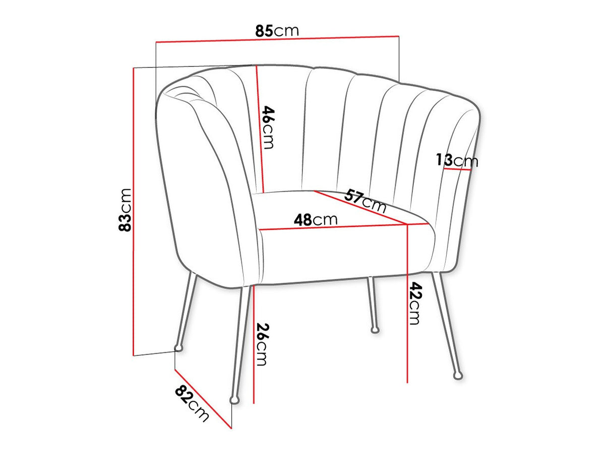 Fotel Giliali (Rimilo), Szín: Magic Velvet 2201 4243661