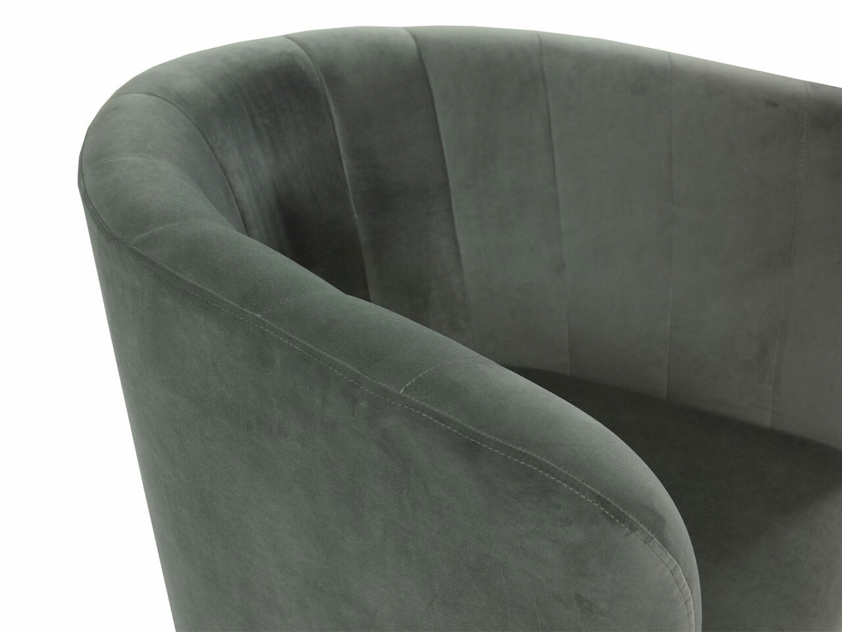 Fotel Giliali (Rimilo), Szín: Magic Velvet 2217 4243690