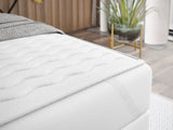 Kontinentális ágy CHESTERFIELD, Szín: Magic Velvet 2243, Alvó felület mérete: 200 x 200 cm