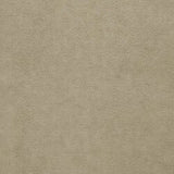 Kontinentális ágy PRATO, Szín: Uttario Velvet 2979, Alvó felület mérete: 120 x 200 cm