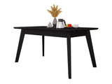 Dohányzóasztal SKANDI 103x60 (Botiler), Szín: Fekete