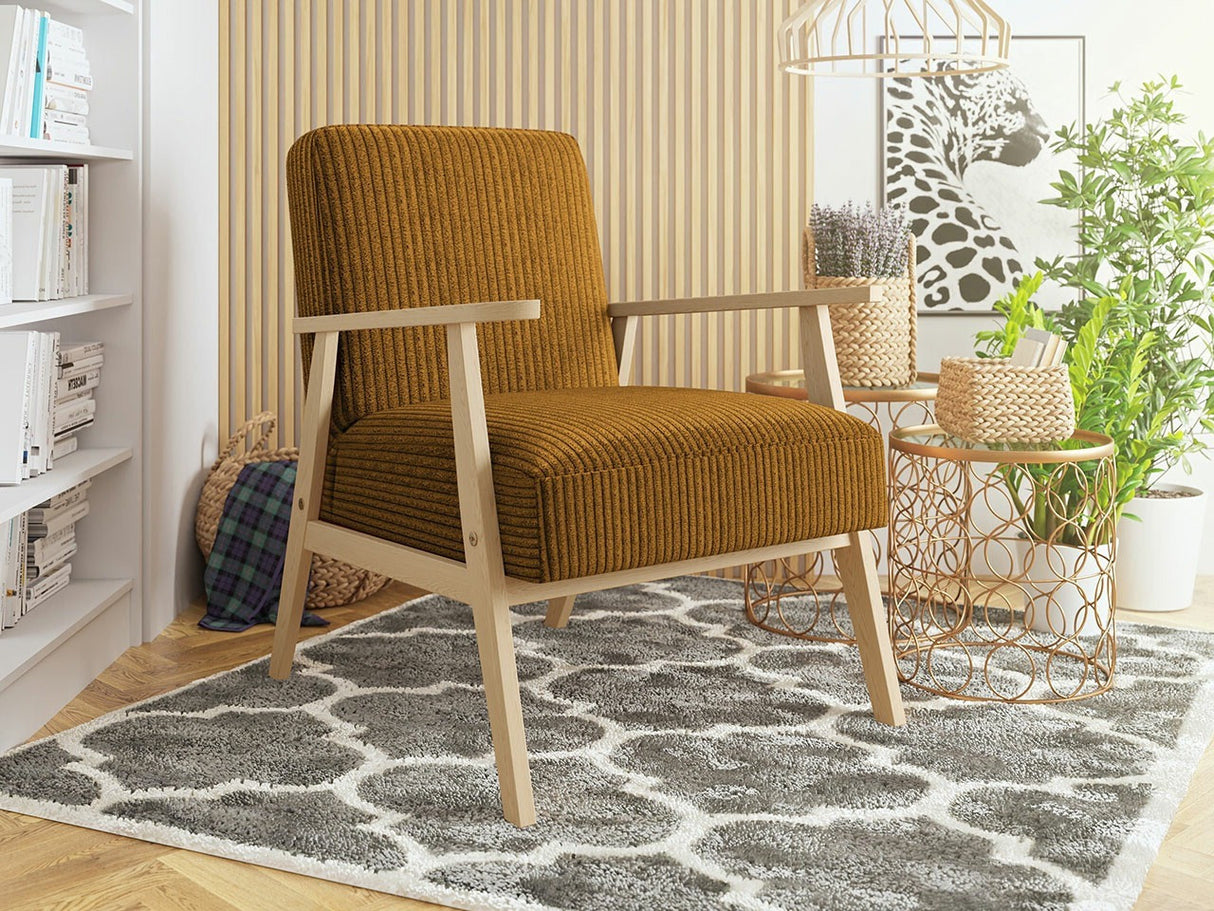 Fotel Retro (Pawiva), Szín: Poso 1