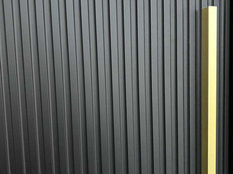 Gardróbszekrény RIFLO SLIM 2 250 (Towiro Slim 2 250), Szín: Fekete