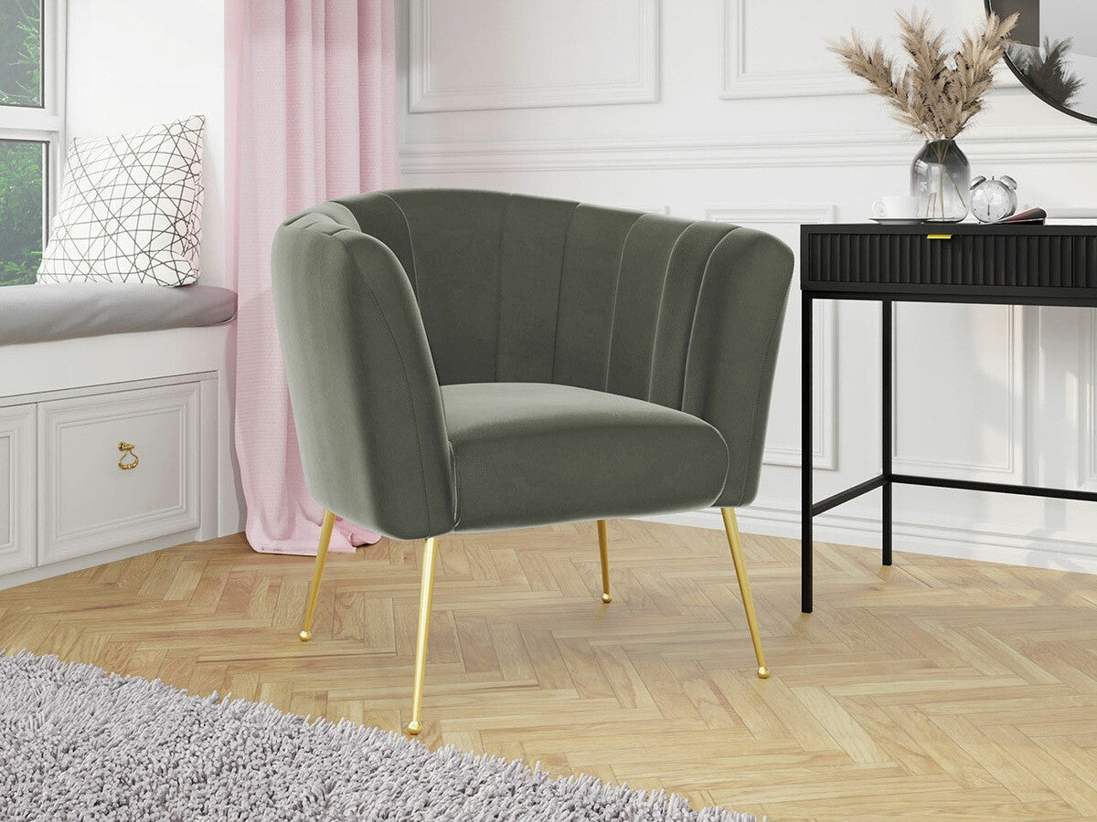 Fotel Giliali (Rimilo), Szín: Magic Velvet 2217