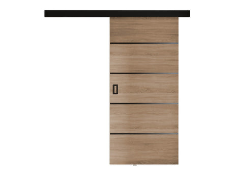 Tolóajtók Drzwi WERDI PLUS 100 + samodomykacz, Szín: Sonoma tölgy