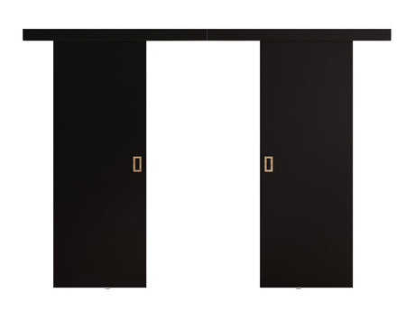 Tolóajtók Drzwi WERDI DUO 172 + 2x samodomykacz, Szín: Fekete