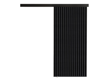 Tolóajtók Drzwi BELMO 90 + samodomykacz, Szín: Antracit + Fekete