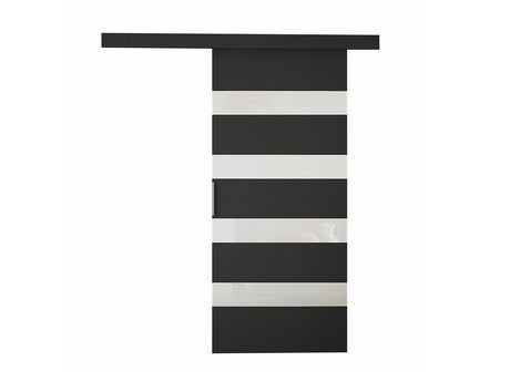 Tolóajtók Drzwi przesuwne LEO V + samodomykacz, Szín: Fekete + Fehér