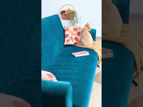 Kanapéágy Molly (Aranyea), Szín: Paros 5 RXbtfNixKWA
