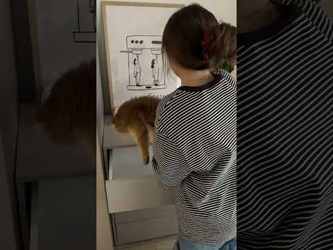 Komód GESITA K8SZ, (Tölgy) JYqMbZNhI64